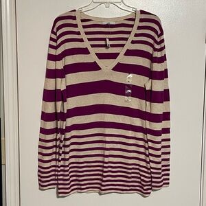 GAP Purple Striped V Neck Sweater